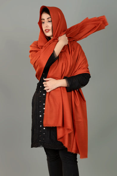 The Fancy Pashmina Plain Shawl